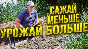 хочешь получить урожай - сажай меньше, как посадить растения чтобы не полоть