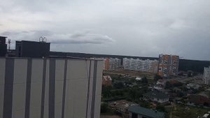 Копище#новая боровая#