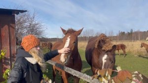 Живу в Сибири ...Благодать - Красота