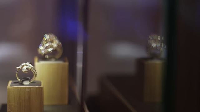 H.Stern Fine Jewellery Event with Harvey Nichols - Dubai смотреть онлайн