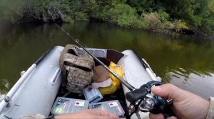 Злая летняя щука!!! Твичинг на реке! Поклевки в кадре! Сейм 2019