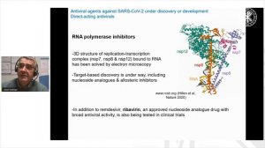 Virus SARS-CoV-2: estructura molecular y tratamiento antiviral