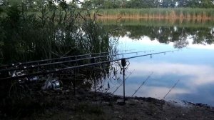 Рыбалка 2021/ Вся прелесть простых платных водоёмов! Крупный карась на карповые снасти, кукурузу!