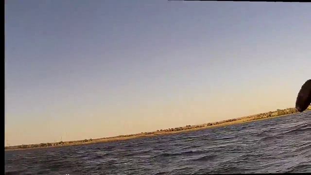 11 щук за 2 часа смотреть онлайн