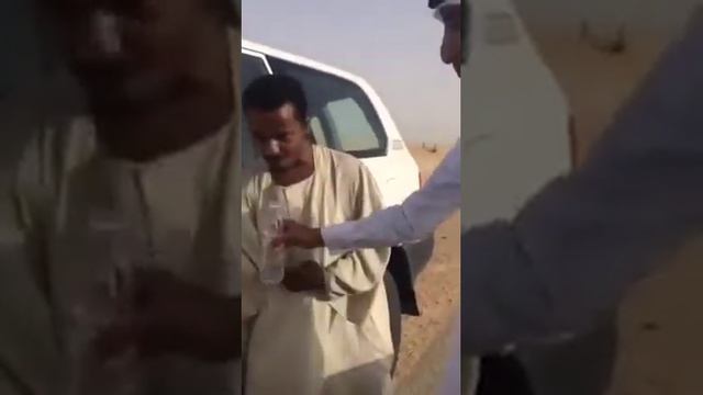 Красиво жить не запретить смотреть онлайн