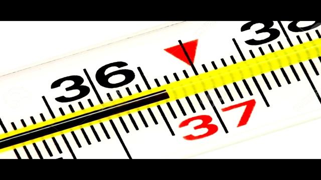 Зачем мы спим, что такое сон. смотреть онлайн