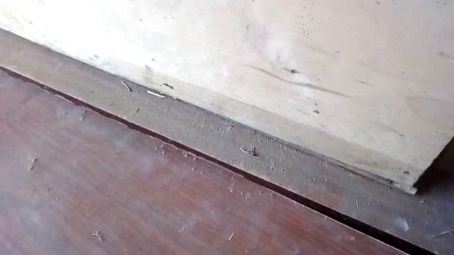 Новый пол в клетках. Важность сена для крольчат. смотреть онлайн