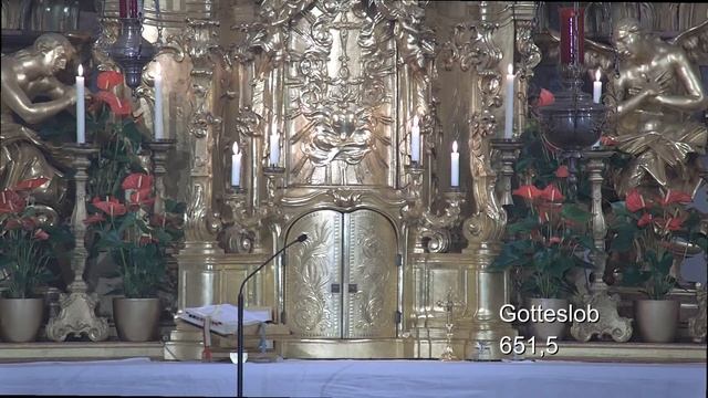 Maria Schutz Fatima-Abend, Hauptzelebrant: P. Markus M. Seidler CP смотреть онлайн