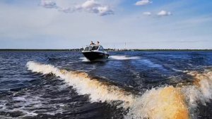 Эта женщина