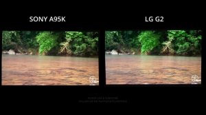 LG G2 OLED vs Sony A95K QD-OLED | Premium 4K TV Comparison