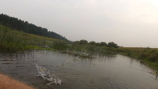 Щука на лягушку Косадака Таргет Фрог (Kosadaka Target Frog) смотреть онлайн