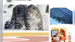 Красная книга РК