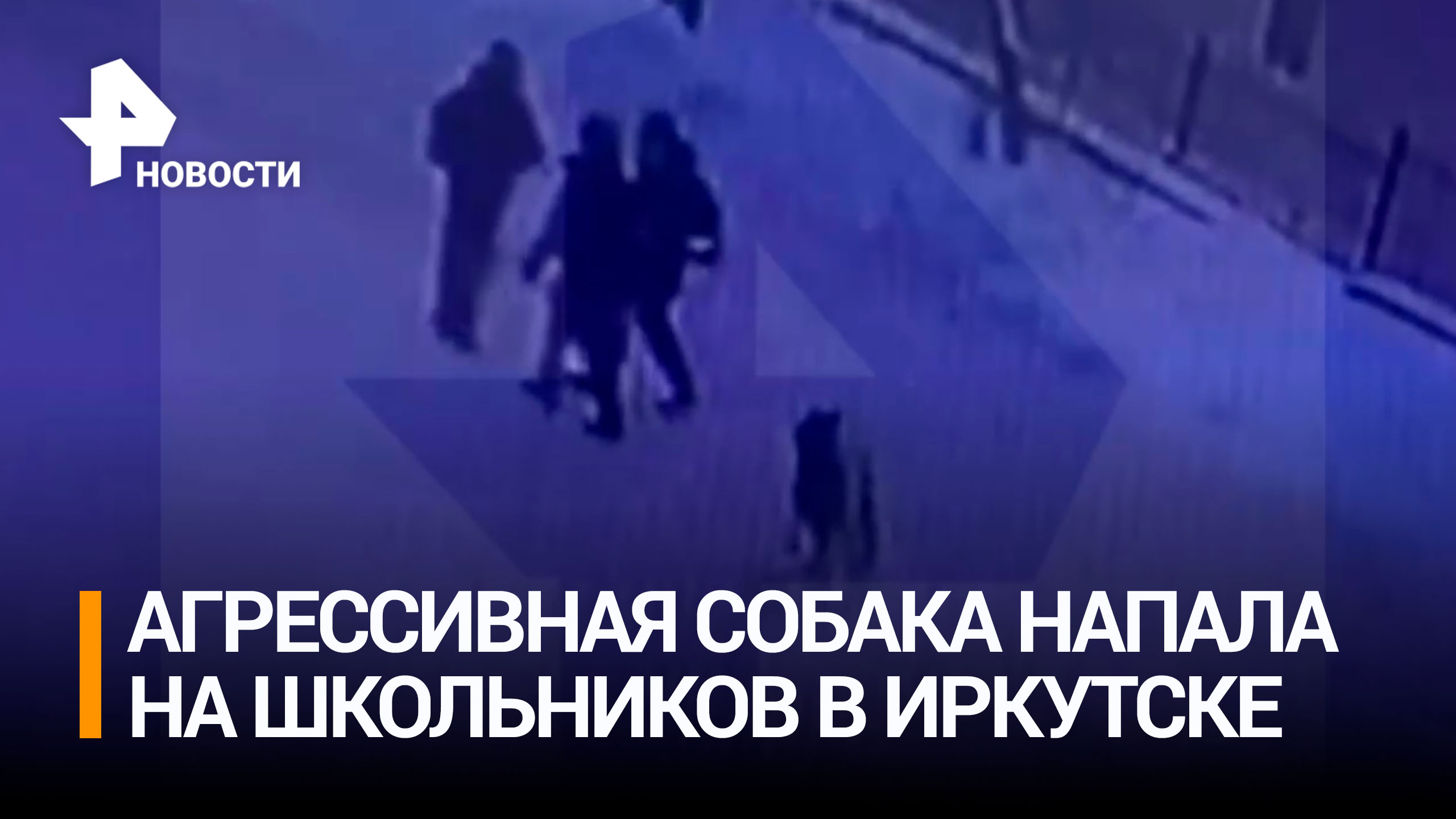 Агрессивная собака напала на трех школьников в Иркутске / РЕН Новости