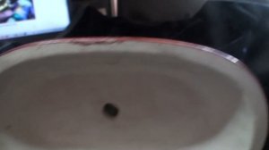 Моя смешная коллекция фарфора 84 L&M 19 век Франция