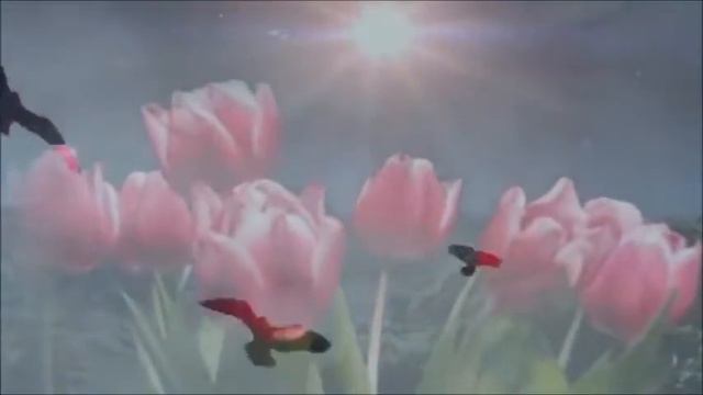 ПАМЯТИ МОЕМУ ЛЮБИМОМУ ПОСВЯЩАЕТСЯ... ВЛЮБЛЕННОЕ СЕРДЦЕ смотреть онлайн