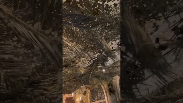 Классный звездный потолок в лютеранской церкве #nice #санктпетербург #питер #звездныйпотолок #shor смотреть онлайн