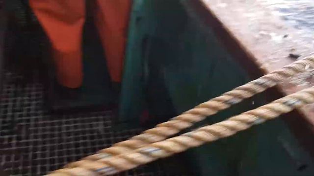 На крючки попадается не толко рыба на и мусор тоже. смотреть онлайн