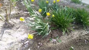 Фильм ТЫ ДЛЯ МЕНЯ ИЗБРАННАЯ, МИХАЙЛОВКА! (31 марта 2023).mp4