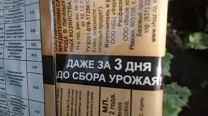 ВРЕДИТЕЛИ.  ЧЕМ НИ В КОЕМ СЛУЧАЕ НЕЛЬЗЯ ОБРАБАТЫВАТЬ ПЕКИНСКУЮ КАПУСТУ И РЕДИС  Видео Ольги Черново