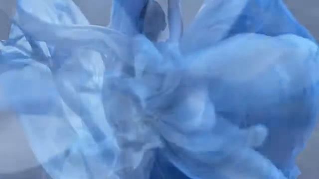 Splendida Tubereuse Mystique Bvlgari смотреть онлайн