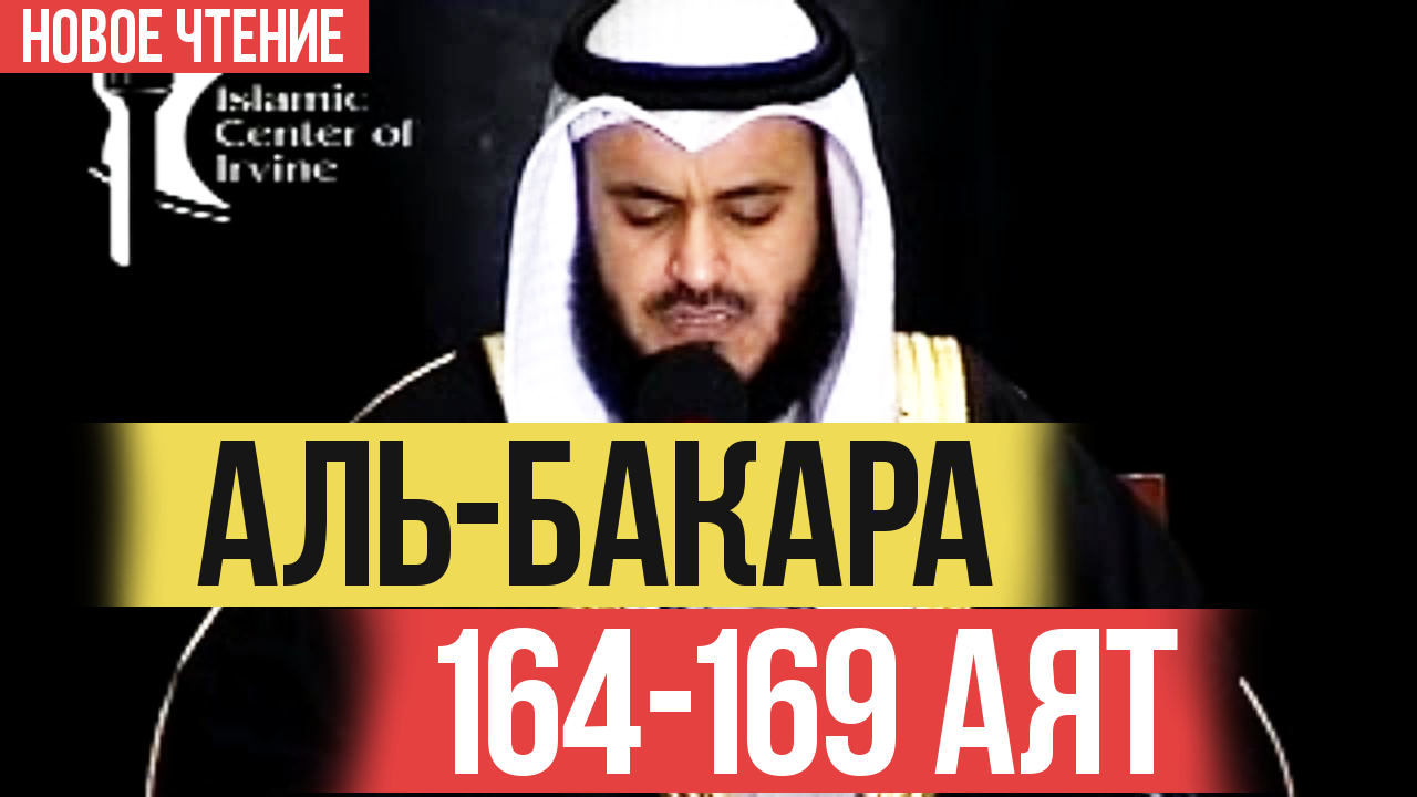 Сура бакара слушать без рекламы. Коран Рашид Аль-Афаси ясин. Бакара сураси. Сура ясин чтец Мишари Рашид Аль-Афаси. Сура от сглаза.