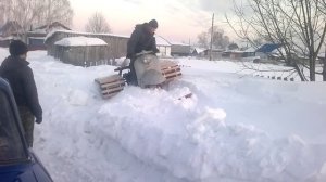 муравей палочник первый выезд