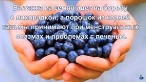 Ягода Асаи.