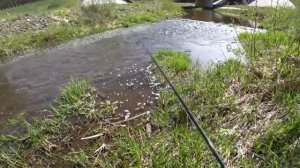 ЛОВЛЯ РУЧЬЕВОЙ ФОРЕЛИ НА СПИННИНГ 2019! РАЗВЕДКА НЕЗНАКОМОЙ РЕКИ!