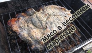 Мясо горячего копчения в весеннем маринаде - Meat marinade in the spring