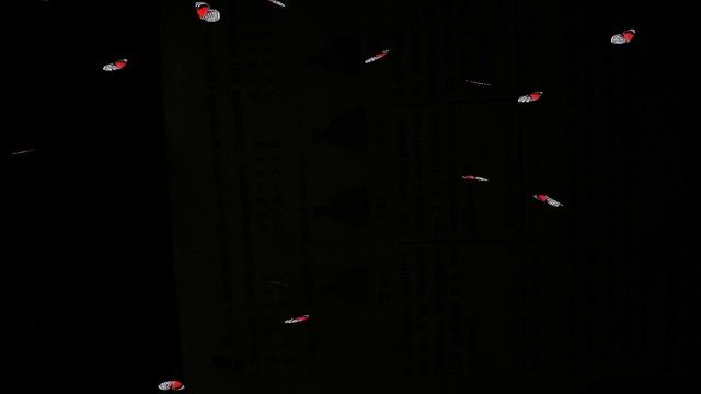 летающие ярко красные бабочки2 /Flying butterfly смотреть онлайн