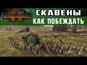 Скавены Как побеждать за них в Total War Warhammer 2 (с переводом на русский)
