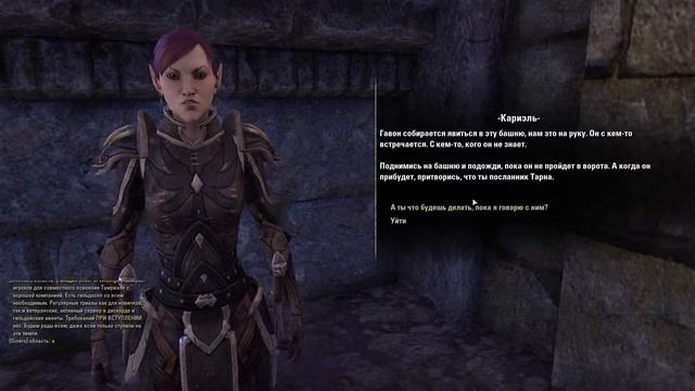 TESO | Спасаем котиков от Коловианцев!