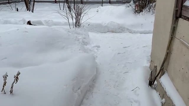 Мартин жжет!!!