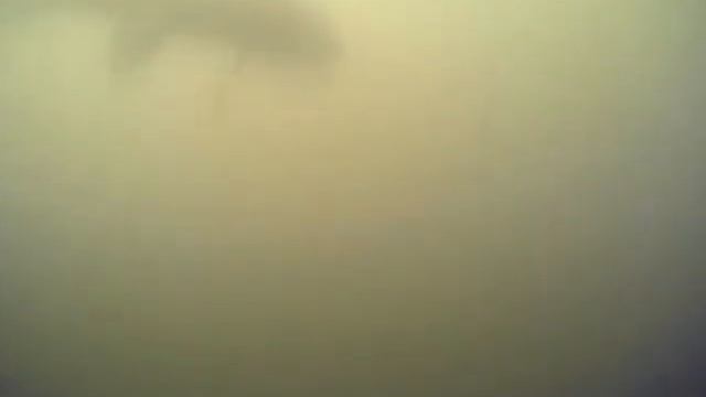 Донские сазаны смотреть онлайн