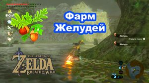 Фарм Желудей. The Legend of Zelda Breath of the Wild. Nintendo Switch