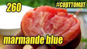 260 marmande blue. видеообзор экзотических томатов #сорттомат