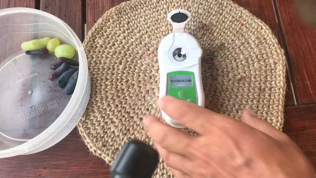 Рататуй, Ламборджини, Аватар, Хэллоуин на 16 августа 2021г. смотреть онлайн