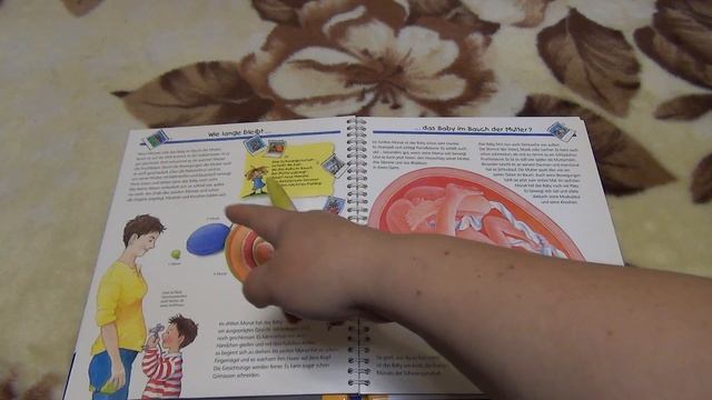 "Откуда берутся дети". Детская энциклопедия. смотреть онлайн