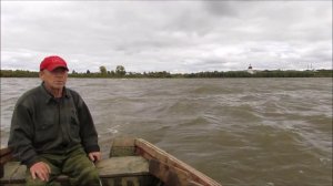 (99) Золотая рыбка Липина Бора. Белое озеро. Вашкинский район.
