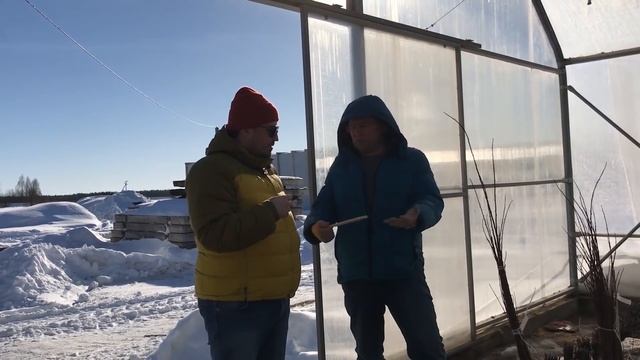 Как выбрать плодовые крупномеры: сорта, климат, подвои, плодоношение?