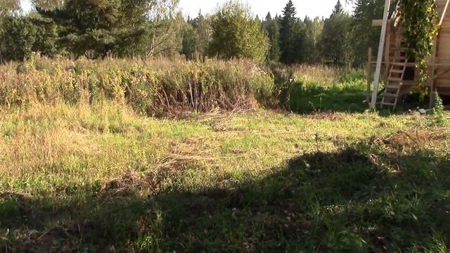 ПЛАНИРОВКА ЗЕМЕЛЬНОГО УЧАСТКА. Выравниваем Участок под Строительство Дома и бани. Отсыпаем ДОРОГУ. смотреть онлайн