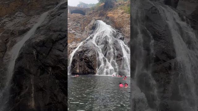 Dudhsagar waterfall#dudhsagar #goa #adventure #nature #naturephotography #naturevideo