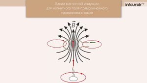 Магнитное поле. Магнитная индукция | Физика 11 класс #1 | Инфоурок