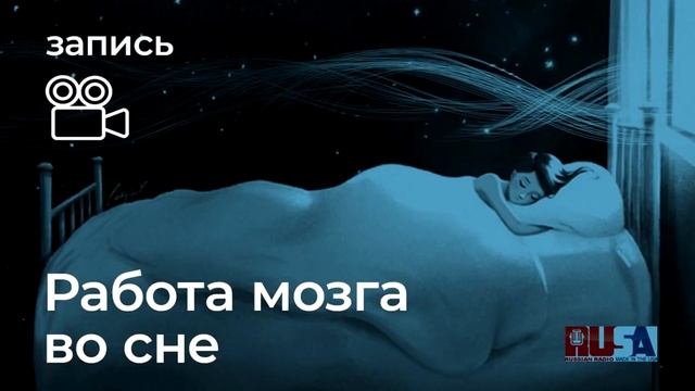Александр Литвин: Работа во сне