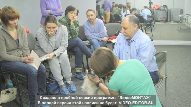 Фрагмент2 семинара Массаж собак смотреть онлайн