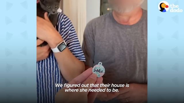 Woman Buys House And Finds Out It Comes With 4 Cats | The Dodo смотреть онлайн