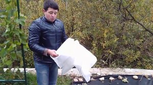 Как укрыть виноград на зиму