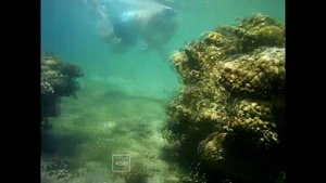 Риф в отеле Tala Bay resort*5, Акаба, Иордания