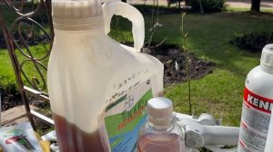 РОЗЫ. ЛУЧШИЙ ПРЕПАРАТ ДЛЯ РОЗ, ОТ БОЛЕЗНИ МУЧНИСТАЯ РОСА СКИДКА 50%