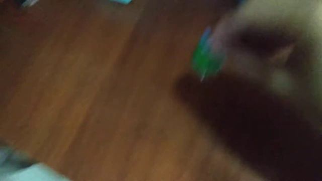 9 сентября 2022 г. смотреть онлайн